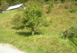 Plot of land, 929m2, Srednja Vas, Bohinj. Click here for more details. Plot of land, 929m2, Srednja Vas, Bohinj. Click here for more details.